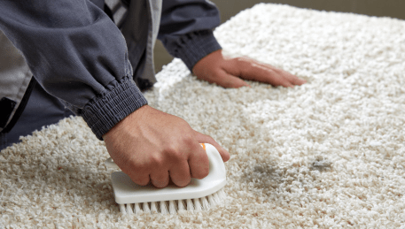 Professional Rug Cleaning Burnley